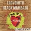 Songs From Lindiwe