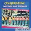 Zibuyinhlazane (feat. Homeless)
