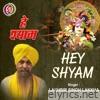 Hey Shyam - Single