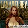 Born To Die - The Paradise Edition