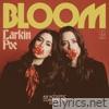 Mockingbird (Unplugged) - Single