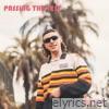 Passing the Test - Single