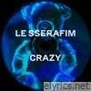 CRAZY (Vamos Remix) - Single