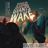 When Sleeping Giants Wake