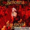 Señorita - Single
