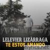 Te Estoy Amando - Single