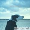 Weg uit Nederland - Single