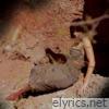 Comic Book Cowboy - Single