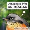J'aimerais être un oiseau - Single