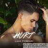 Liam Ferrari - Hurt (Remixes)