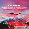 What I Want - Single