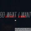 Lil' Twist - Do What I Want (feat. 2 Chainz & K.R.) - Single