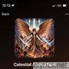 Celestial Armed Nati - Single