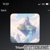 Triunfo Amor - Single