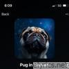 Pug in Heaven - Single