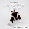 I Know What I Want - Single