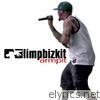 Limp Bizkit - Armpit - Single