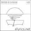 Promise of Sunshine - Single