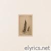 Pacing (Acoustic) - Single
