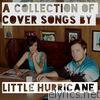 Stay Classy (A Collection of Covers by Little Hurricane)