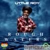 Rough Waters - Single