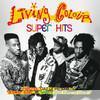 Super Hits: Living Colour