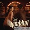Lambing - Single