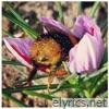 Holy - Single