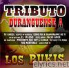 Tributo Duranguense