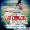 Celos del Viento (feat. Los Herrantes)