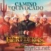 Camino Equivocado (En Vivo) - Single