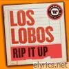 Los Lobos - Rip It Up - Single