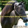Caballo Prieto Azabache
