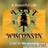Lost In Wisconsin - A Beautiful Life - Single