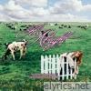 It’s Alright - Single