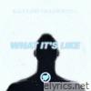 What It’s Like - Single