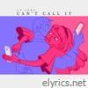 Can't Call It - Single