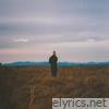Ashes - Single