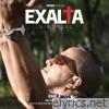 Exalta - Single