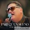 Parece Un Sueño - Single