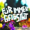 für immer gelöscht - Single