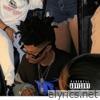 ELEPHANT IN THE ROOM - Single