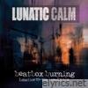 Beatbox Burning (Lunatics 10-Ton Breaks Mix) - EP