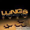 Lungs - An Anatomical Guide