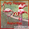 Manfred Mann - Pretty Flamingo