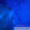 Coniine (feat. Laetitia Sadier) - Single