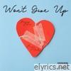 Won’t Give Up (feat. Brooke Valentine) - Single