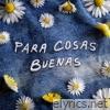 Para cosas buenas - Single