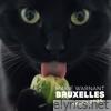 Bruxelles (Remix 2025) - Single