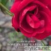 Rose in the garden - Single